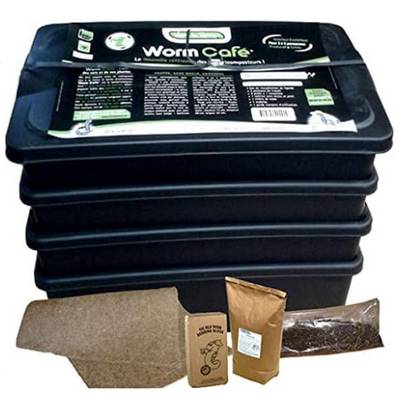 Image d'un lombricomposteur d'appartement